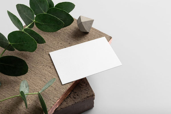 Business Card Mockup with wood and plant background FREE PSD