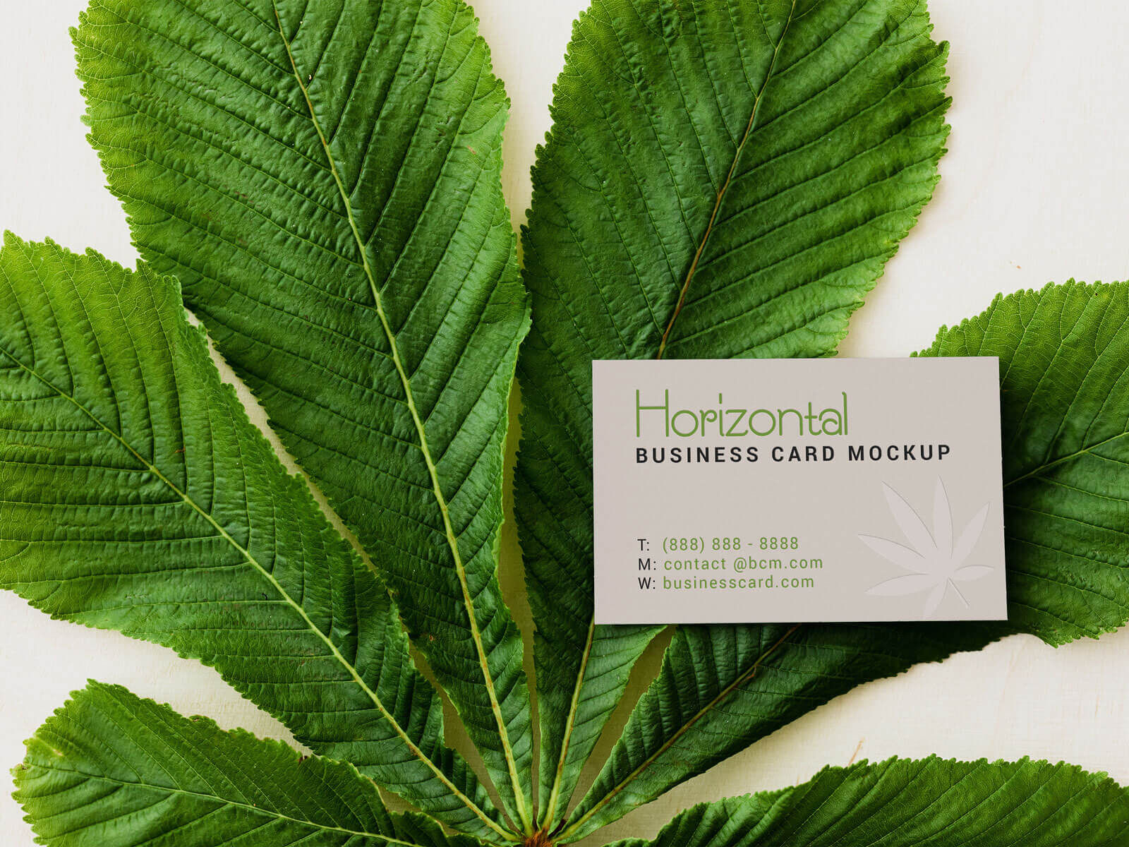 Horizontal and Vertical Business Card Mockup Set FREE PSD
