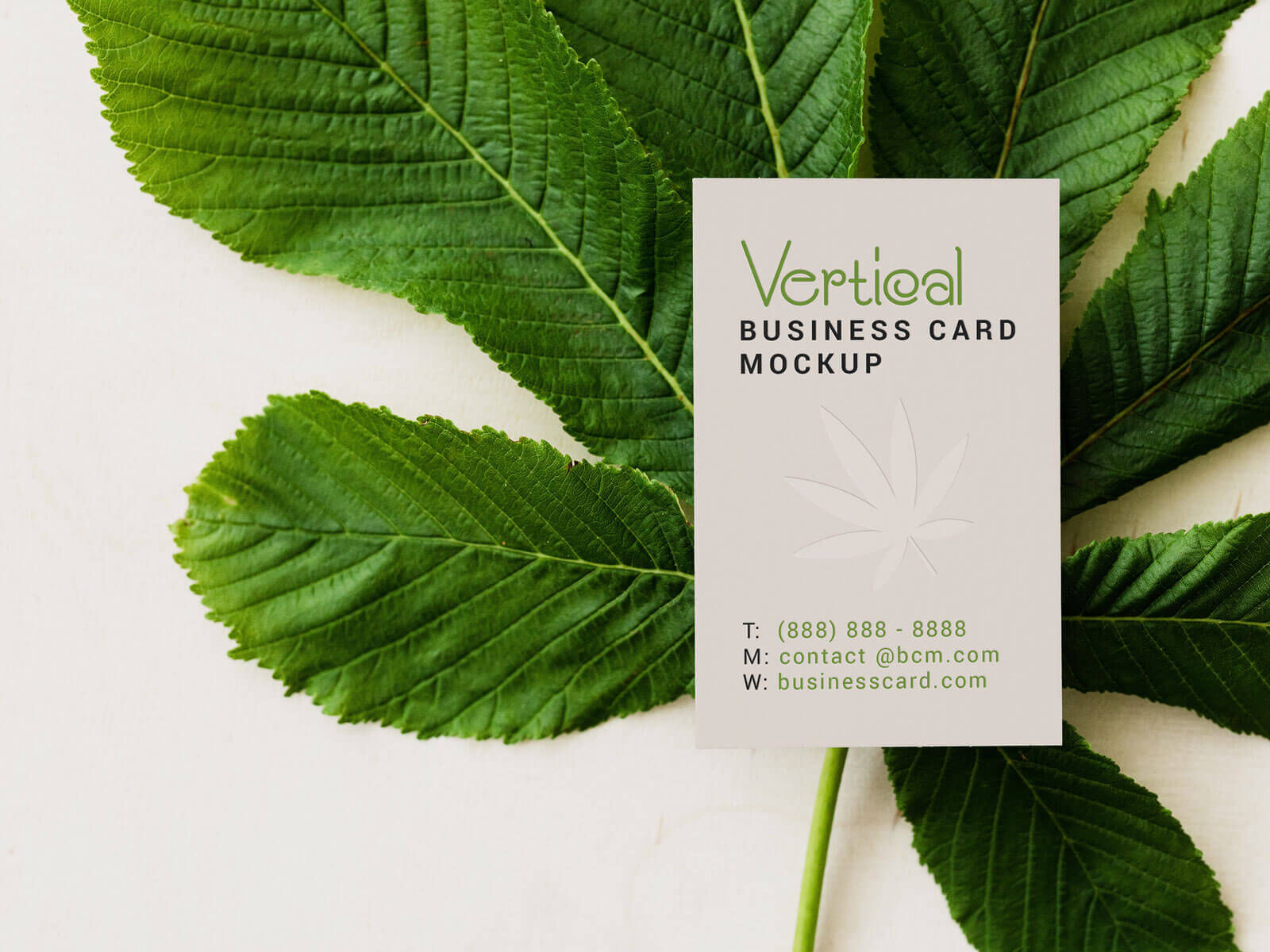 Horizontal and Vertical Business Card Mockup Set FREE PSD