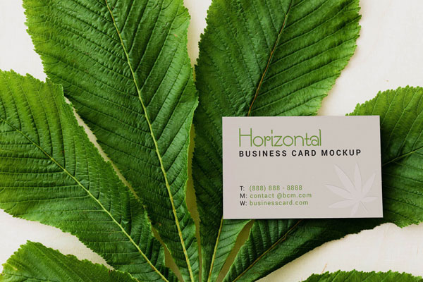 Horizontal and Vertical Business Card Mockup Set FREE PSD