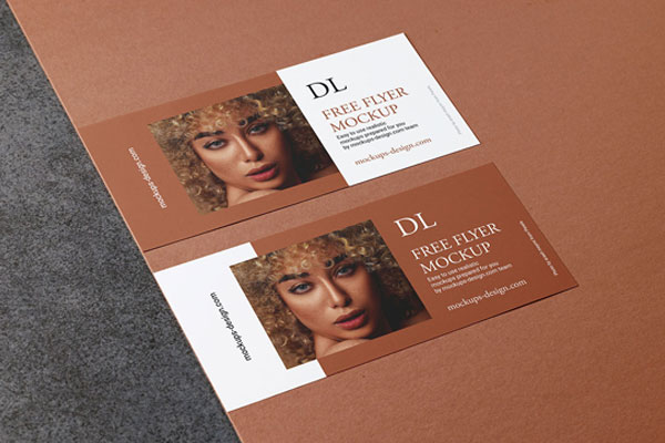 Horizontal DL Flyer Placed on a Customizable, Split Background Mockup FREE PSD