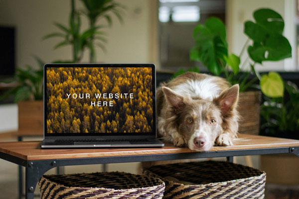 Macbook Mockup In A Room Along With A Dog FREE PSD