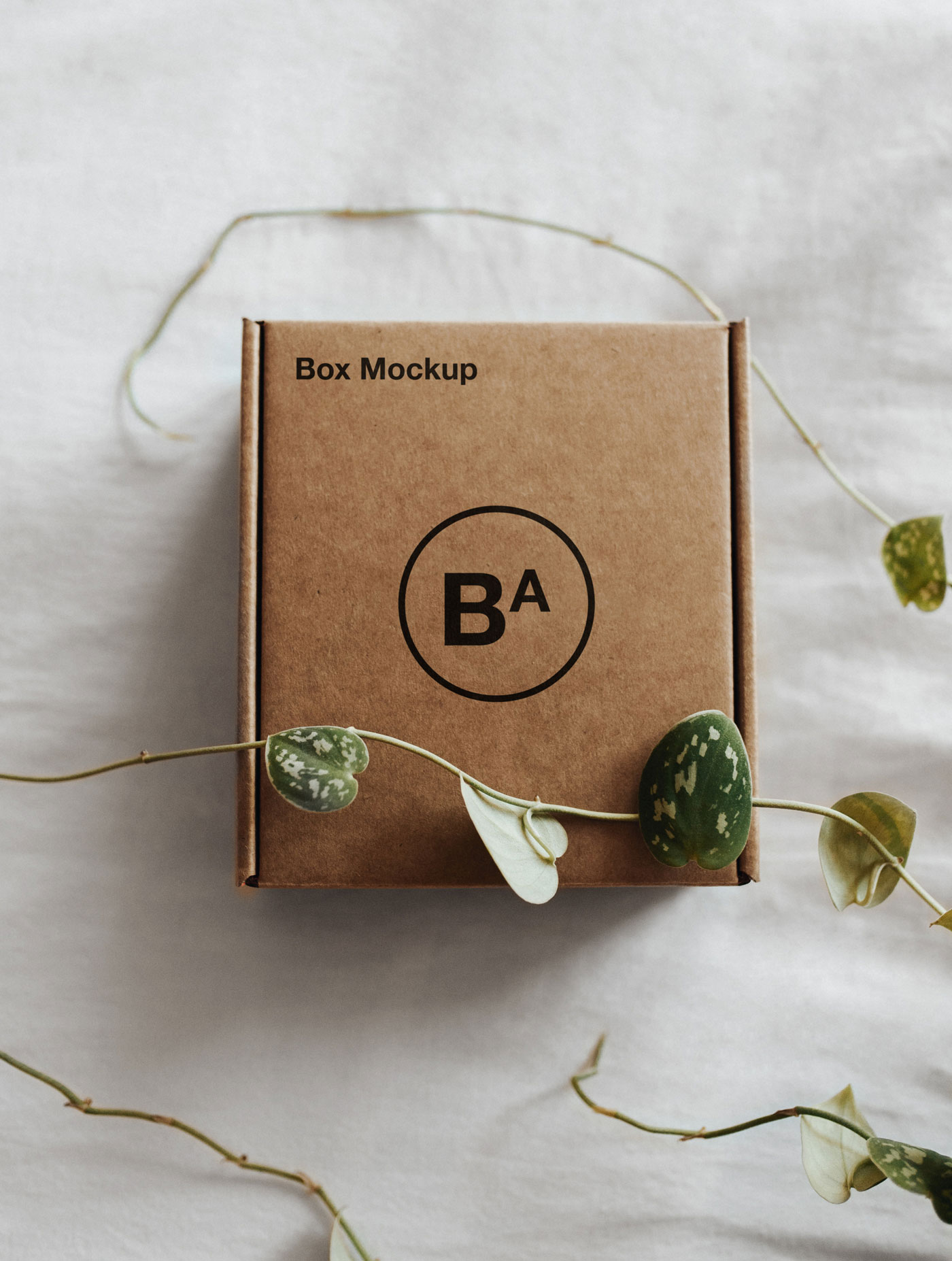 Mockup of a Craft Paper Box Decorated with Ivy FREE PSD