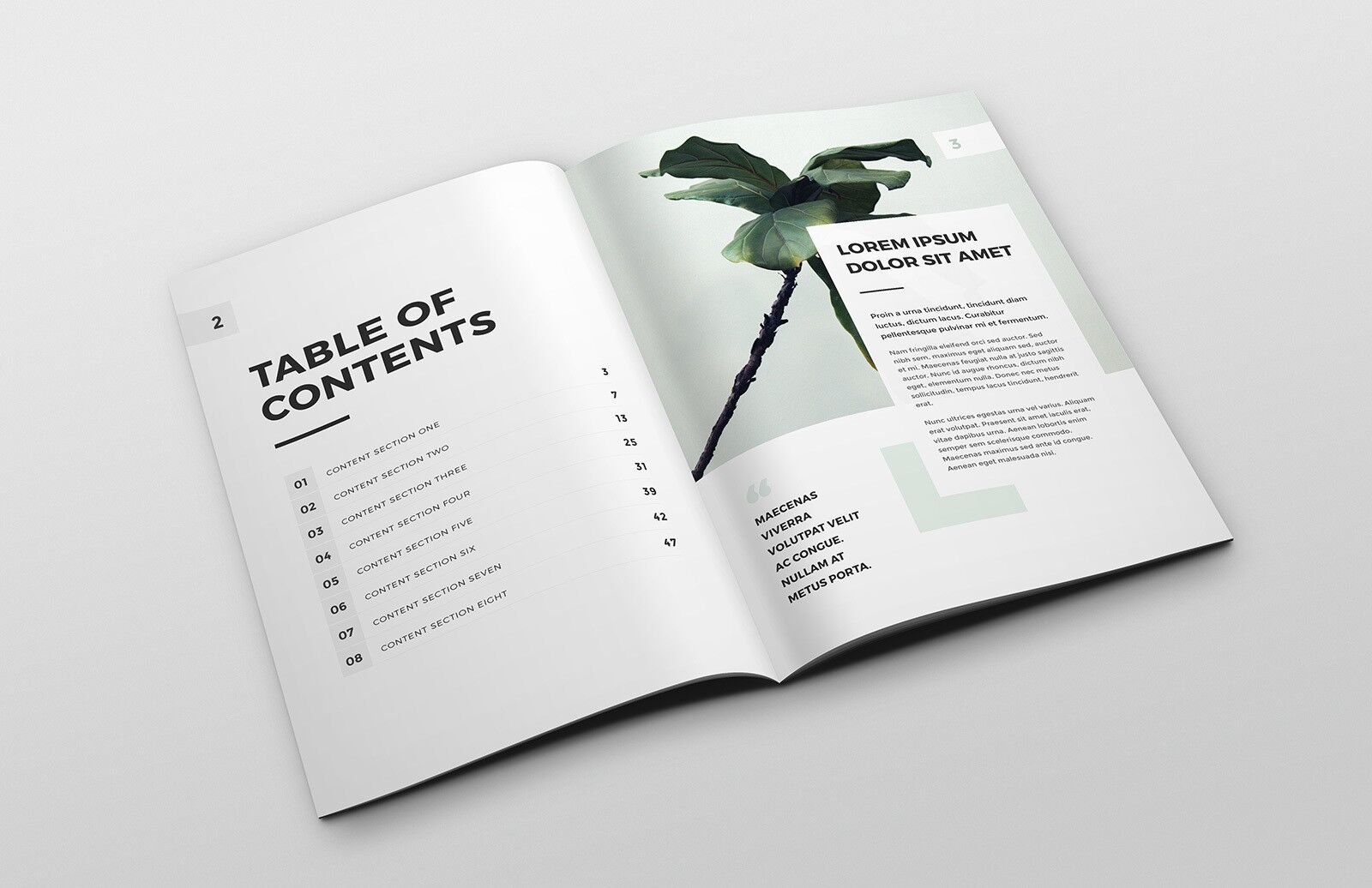 Mockup Showing a Simple A4 Booklet FREE PSD