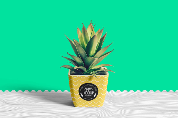 Realistic Flower Pot Mockup FREE PSD
