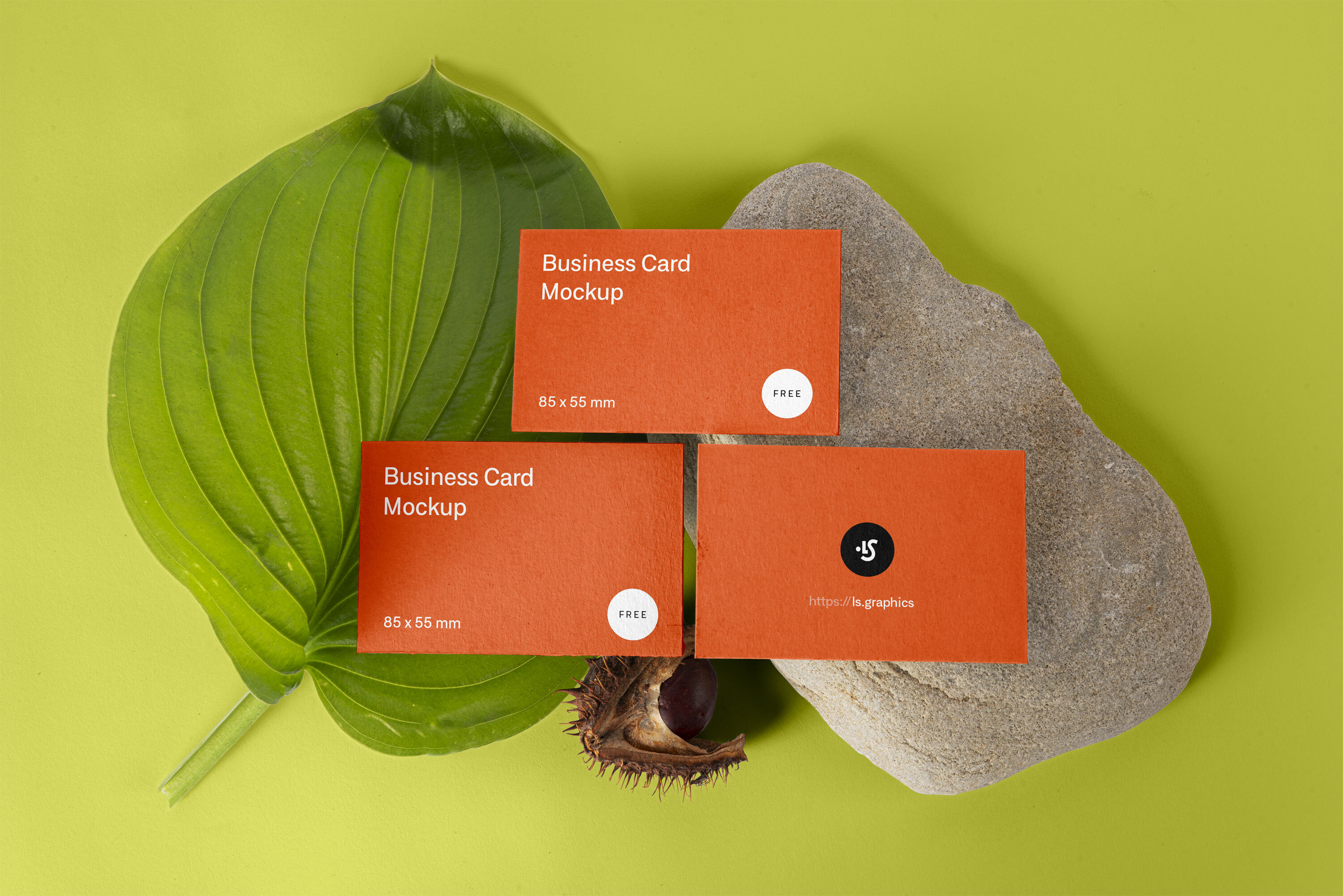 Three Business Cards Placed infront of a Leaf, Rock and Hazelnut Mockup FREE PSD