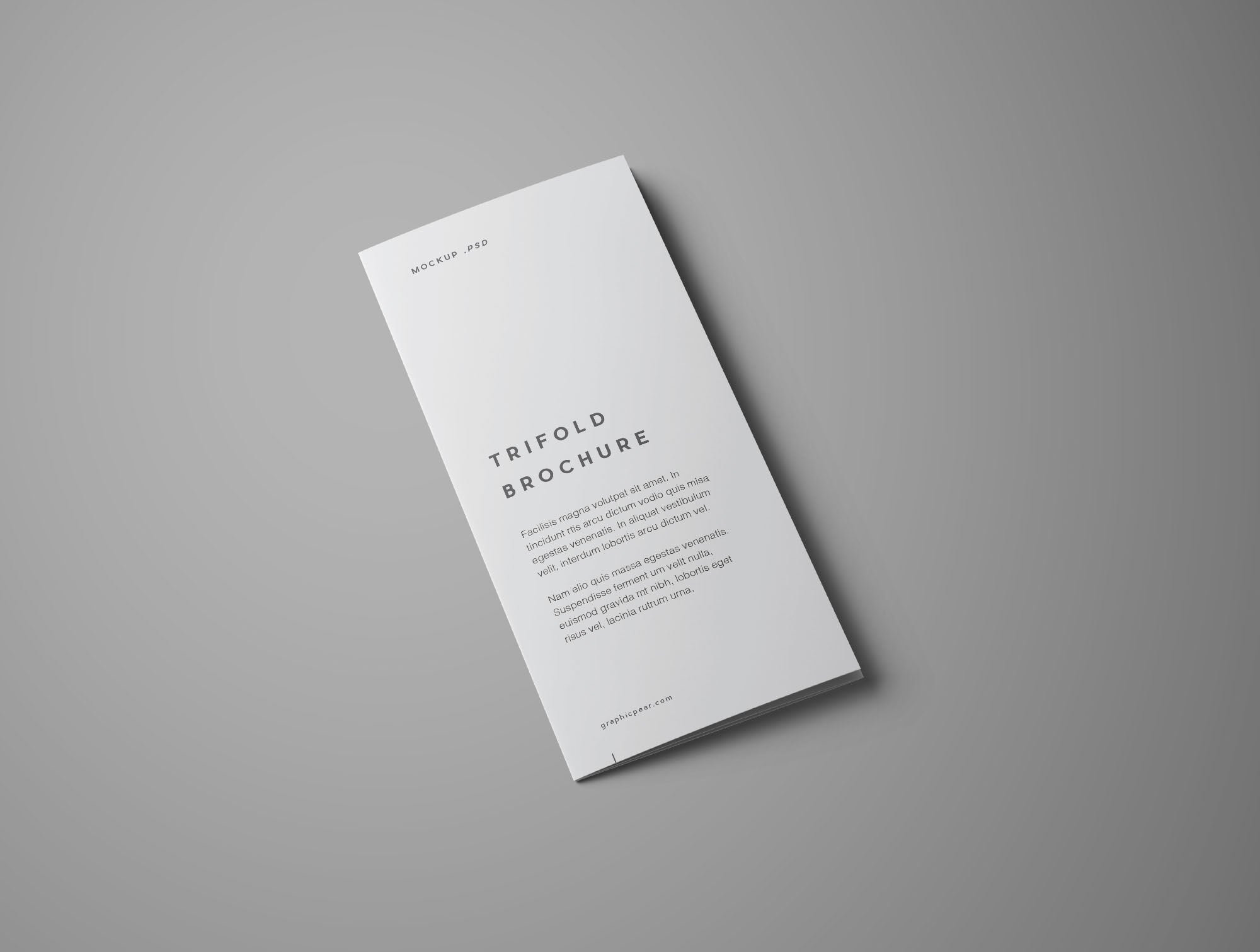 Trifold Brochure Mockup with different aspects FREE PSD