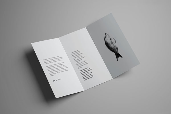Trifold Brochure Mockup with different aspects FREE PSD