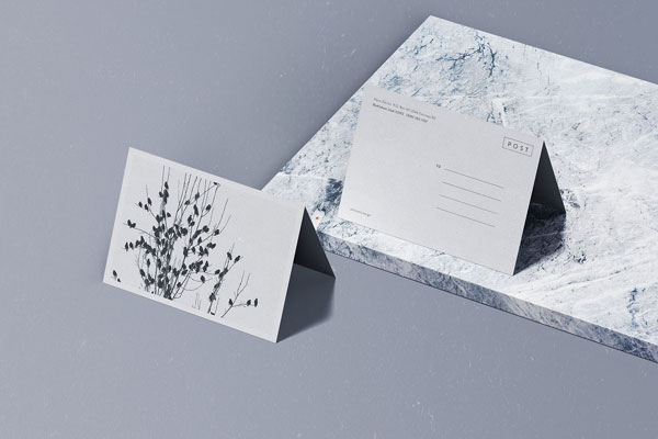 Two Folded Postcard Mockup With image FREE PSD