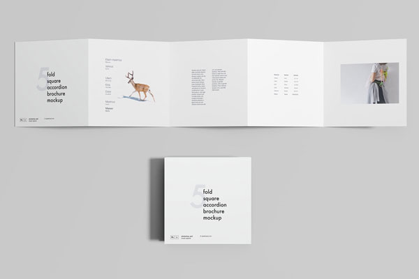 5 Fold Square Accordion Brochure Mockup FREE PSD