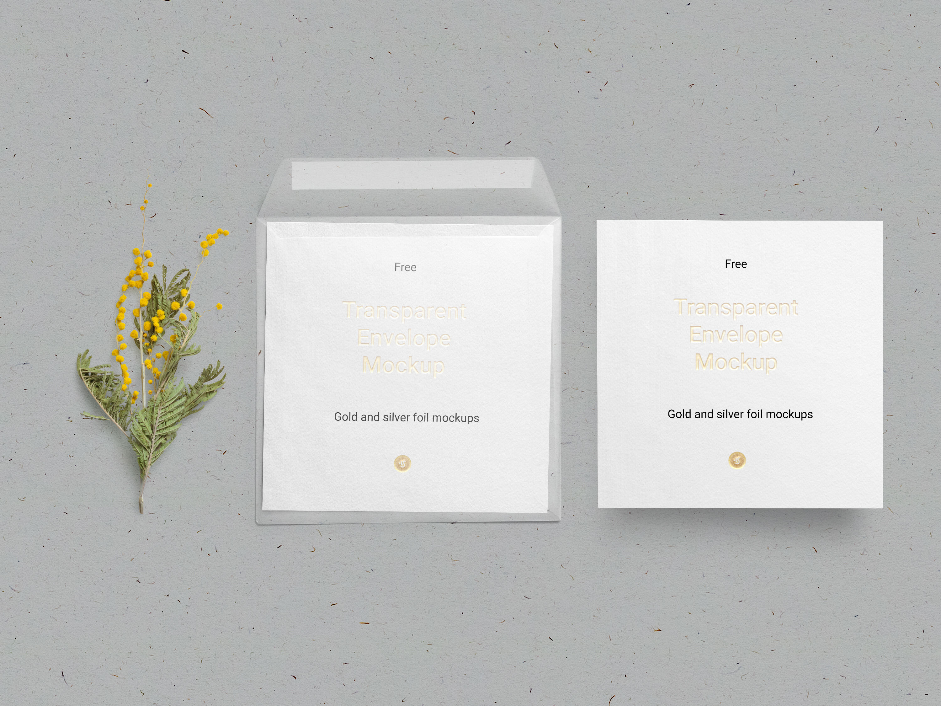 Cards and Transparent Envelop Decorated with Flower and Overlaid Shadow Mockup FREE PSD