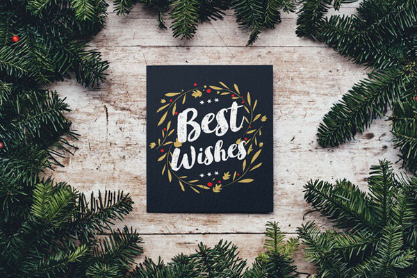 Christmas Card Decorated with Evergreen Plants FREE PSD