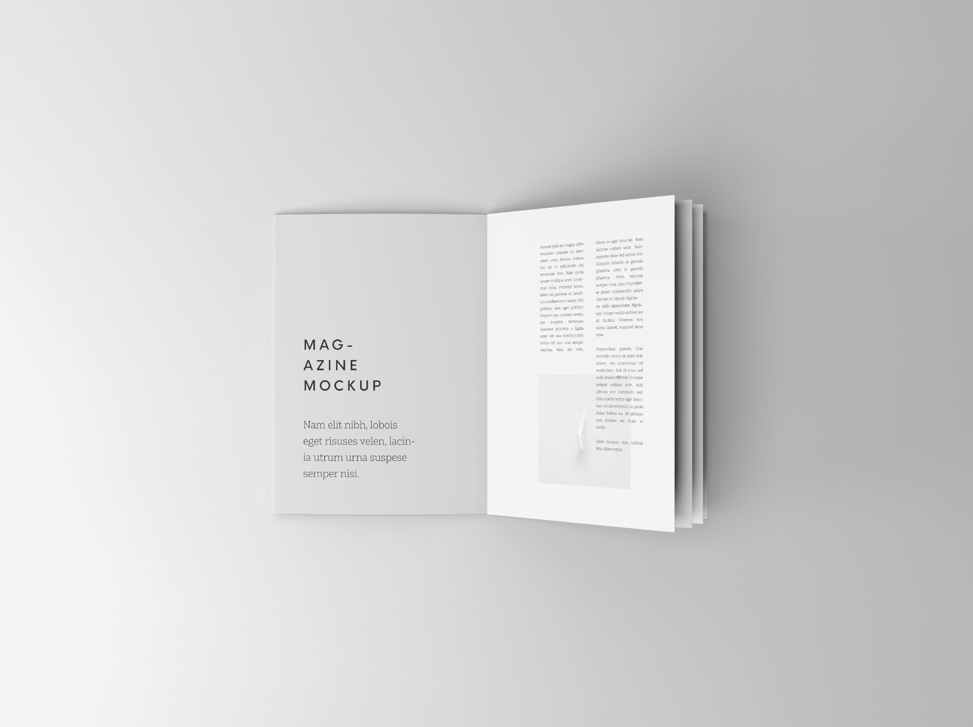 overhead-view-of-an-open-booklet-mockup-free-resource-boy