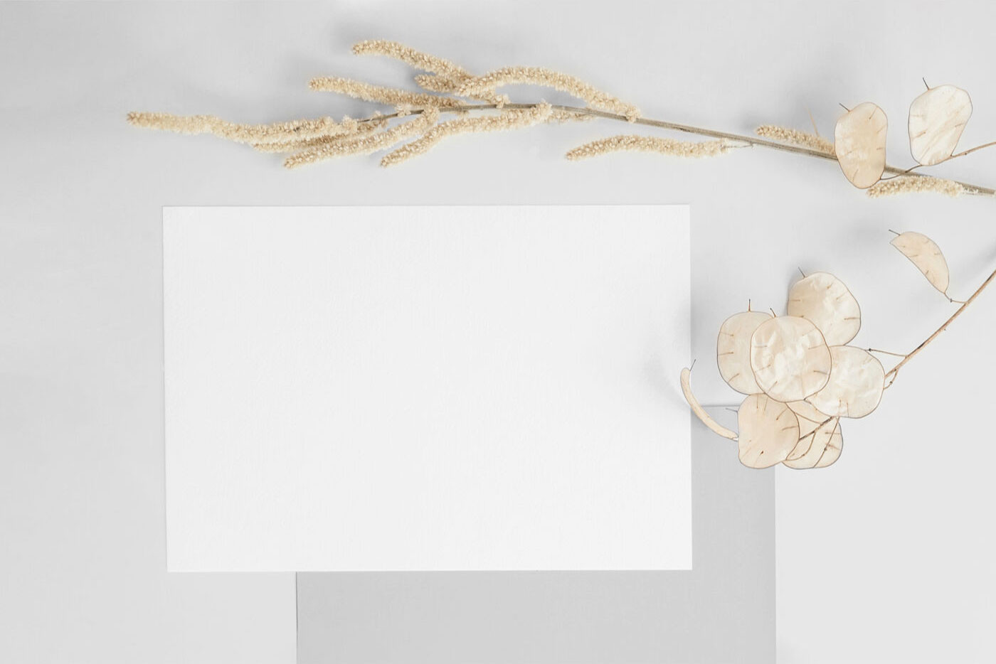 Photo-Realistic Mockup of an A5 Postcard with Envelope FREE PSD