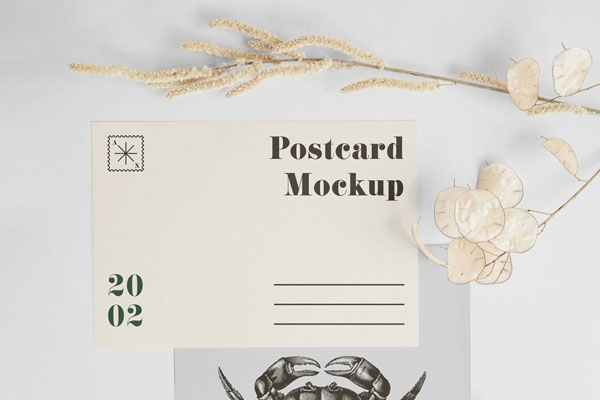 Photo-Realistic Mockup of an A5 Postcard with Envelope FREE PSD