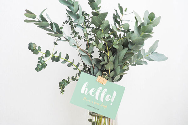 Plain and Realistic Gift Card Mockup Stick to a Flower FREE PSD