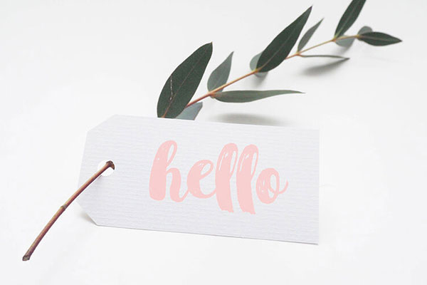 Tag Mockup With A Plant Stem FREE PSD