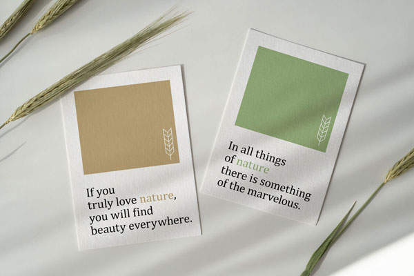 Two Cards in a Scene Decorated with Wheat Flowers Mockup FREE PSD