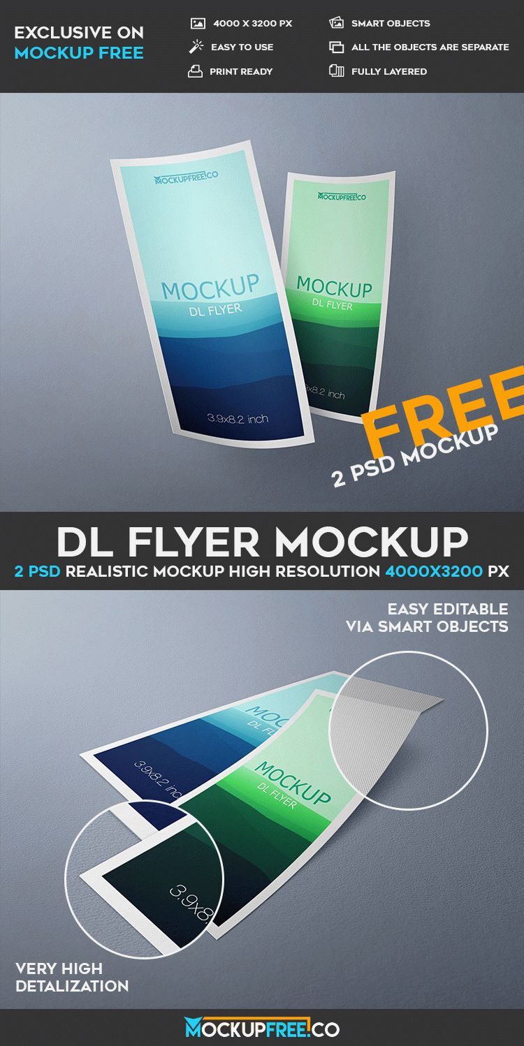 Two Mockups Showing Two Floating Dl Flyers (FREE)   Resource Boy