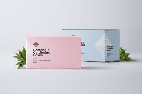 Two Rectangular Cardboard Packaging in a Scene Decorated with Plants Mockup FREE PSD