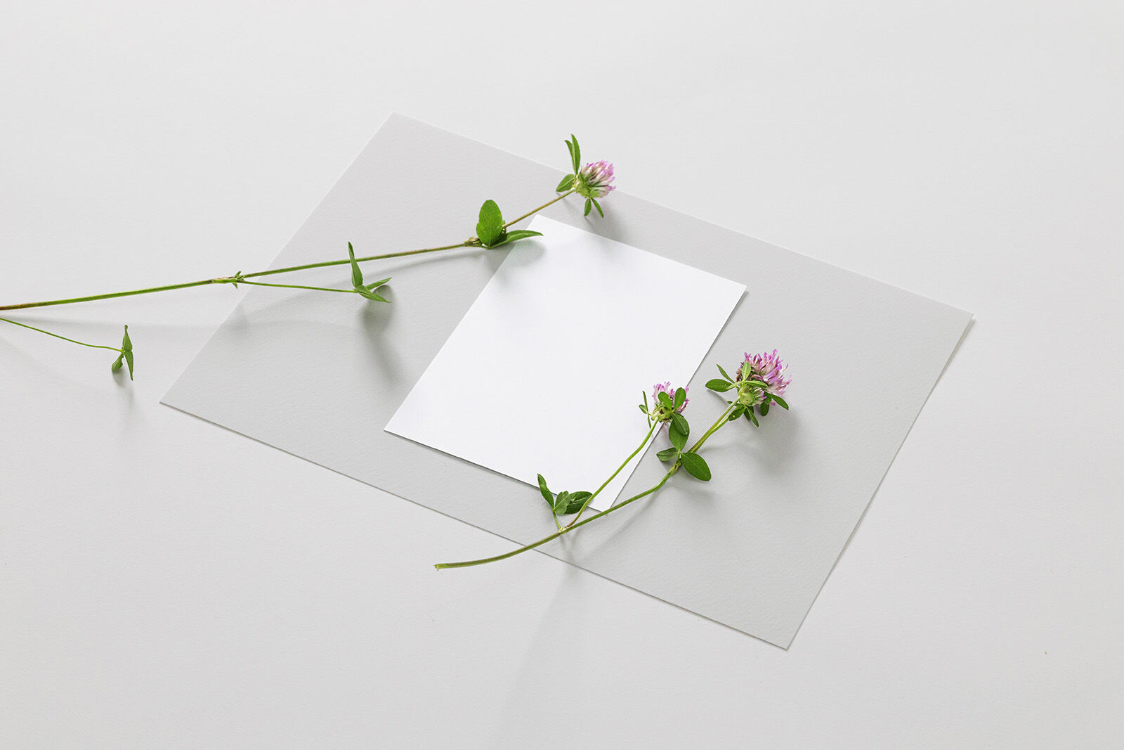3/4 View of a A6 Flyer With Flowers on It Mockup FREE PSD