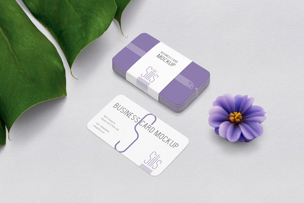 Overhead View of Pack of Business Card and Single Card Mockup FREE PSD