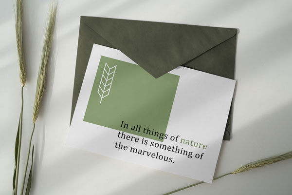 Mockup Featuring Postcard on an Envelope Top View FREE PSD