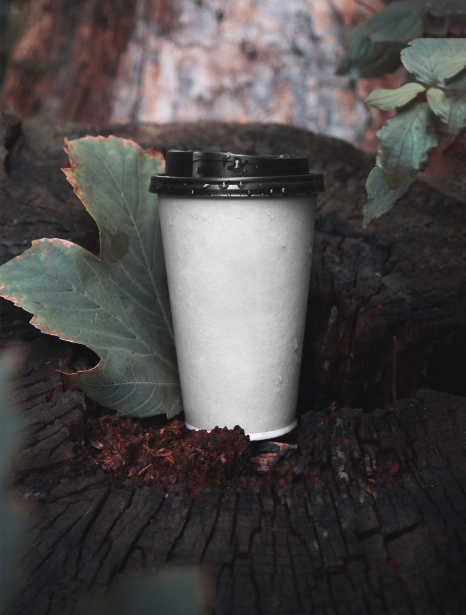 Paper Cup Psd Mockup In Nature FREE PSD
