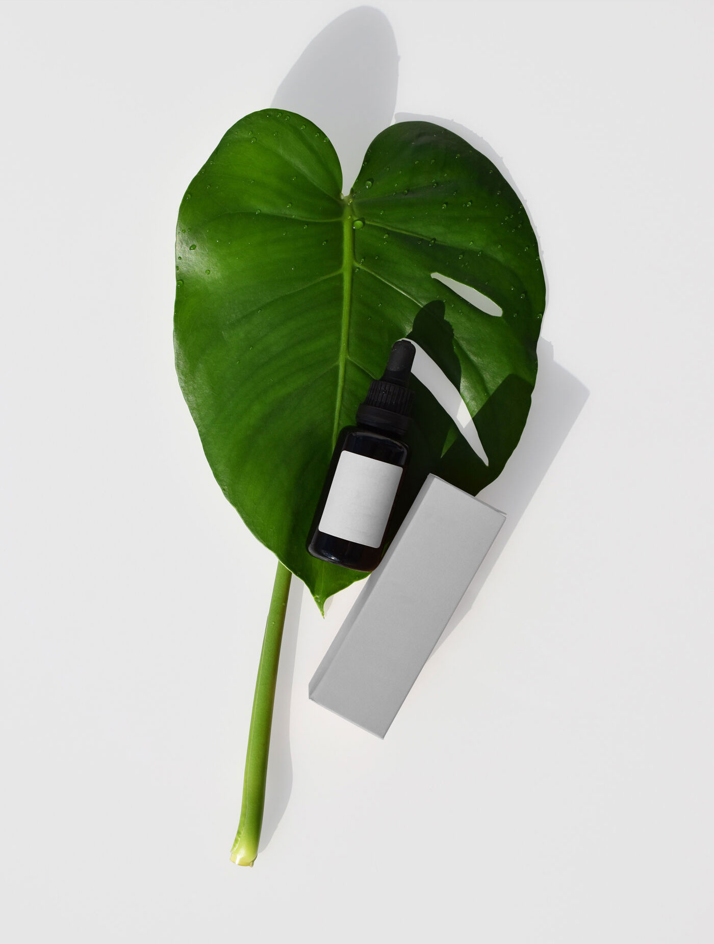 Plastic Essential Oil on a Leaf Mockup Top View FREE PSD