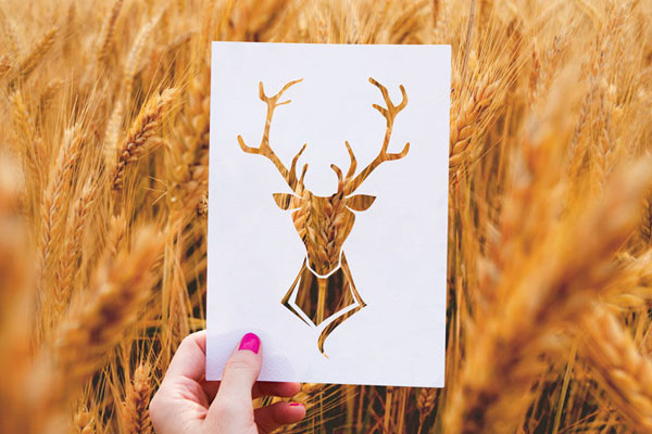 4 Mockups of Paper Stencil Cutout in Realistic Setting FREE PSD