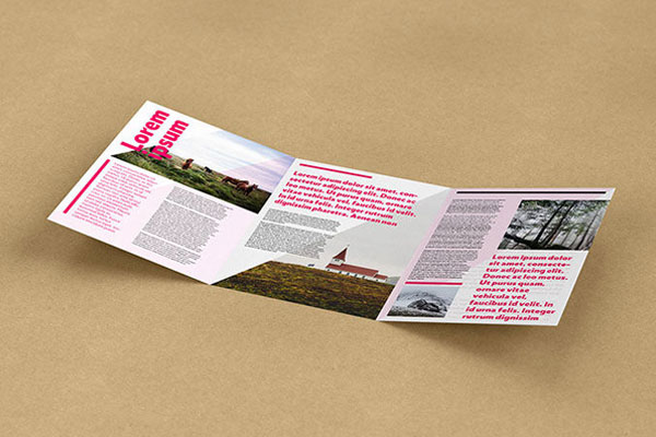 5 Mockups Featuring a Trifold Leaflet in A5 Size FREE PSD