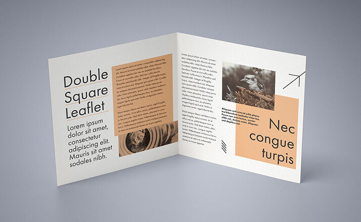 5 Mockups of a Square, Bi-Fold Brochure in Different Positions FREE PSD