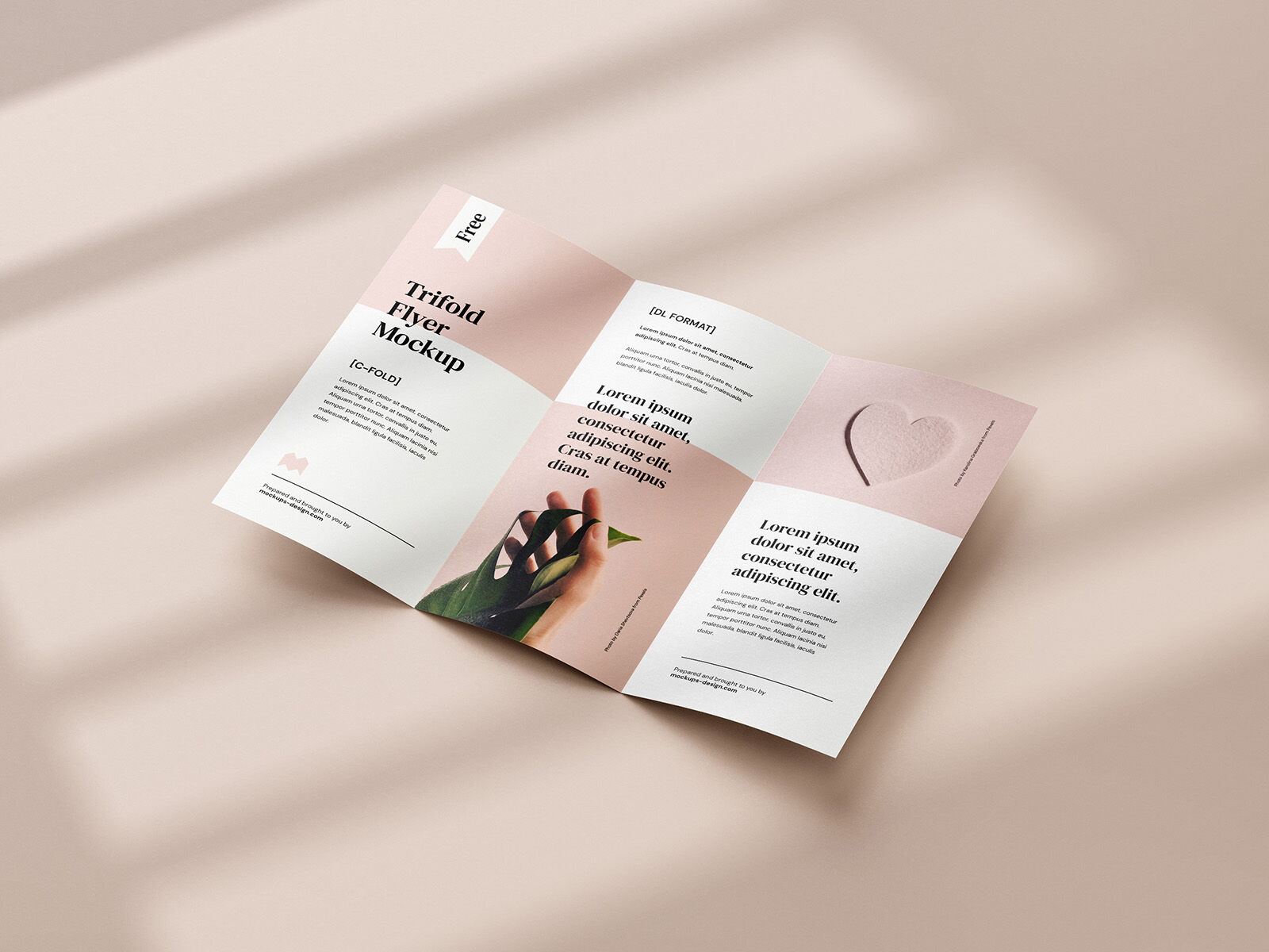 5 Mockups of Tri-fold DL Flyer in Different Shots FREE PSD