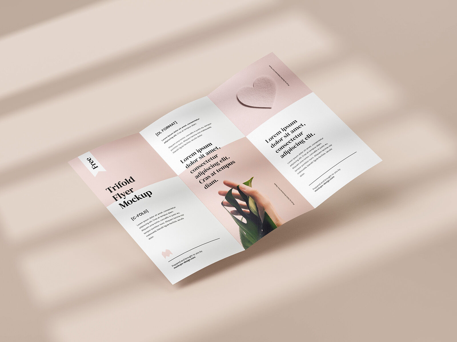 5 Mockups of Tri-fold DL Flyer in Different Shots FREE PSD