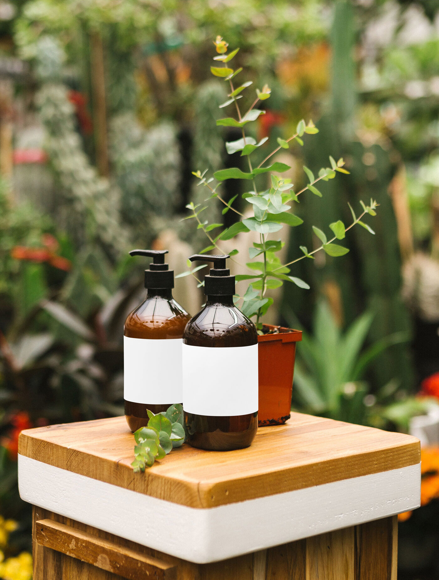 Mockup Featuring Two Glass, Pump Dispenser Bottles Standing in a Greenhouse FREE PSD