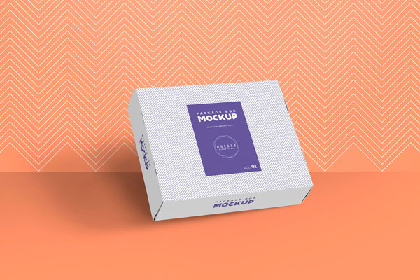 Mockup of a Packaging Box Against the Wall FREE PSD