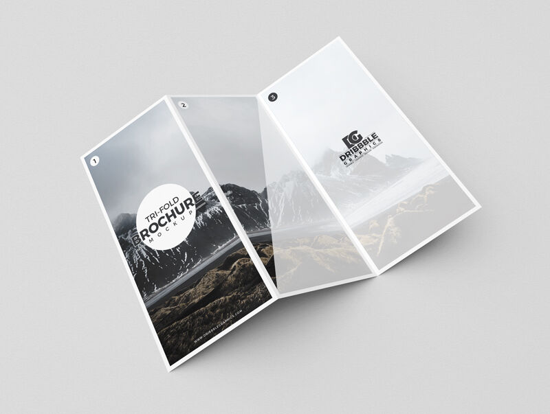 Modern Tri-Fold Brochure Spread Open Mockup FREE PSD