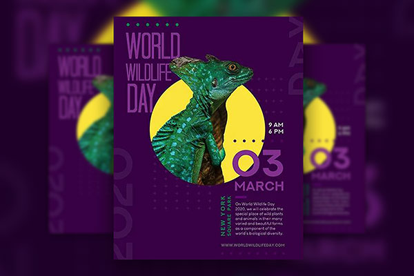 Pack of Three Playful World Wildlife Day Flyer Templates FREE PSD