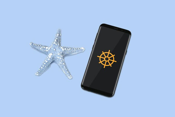 Top View Smartphone Screen Mockup Laying Next to Glassy Starfish FREE PSD