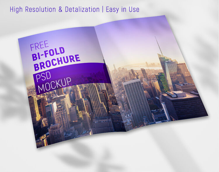 2 Mockups of Bi-Fold Brochures Laid in Perspective FREE PSD