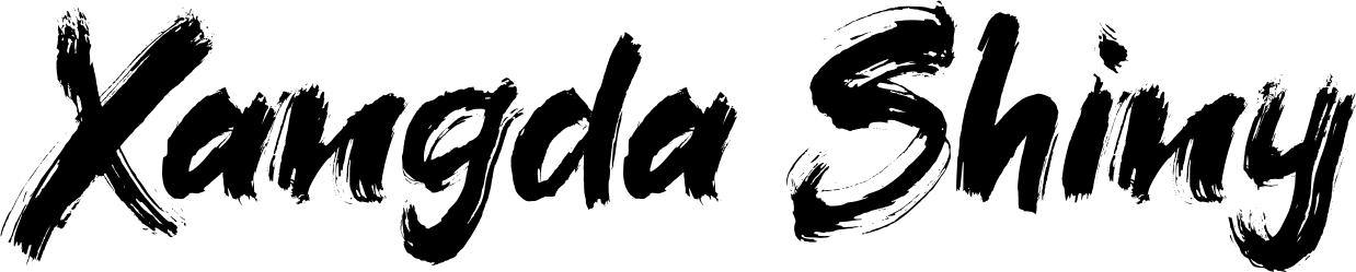 Xangda Shiny Font