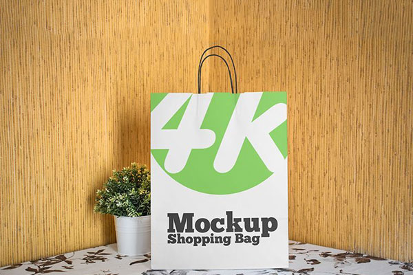 Front View of Standing Paper Shopping Bag Mockup FREE PSD