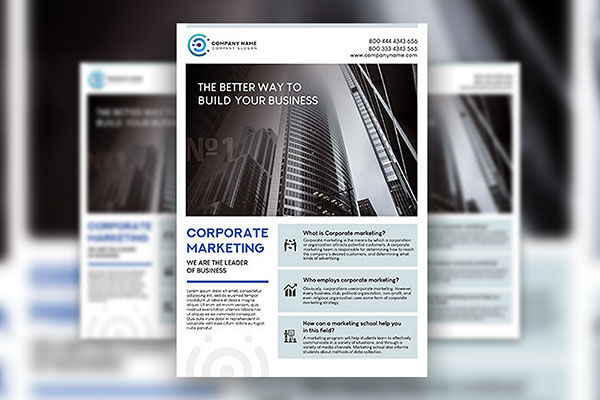 2 Clean Infographic Corporate Flyer Templates FREE PSD