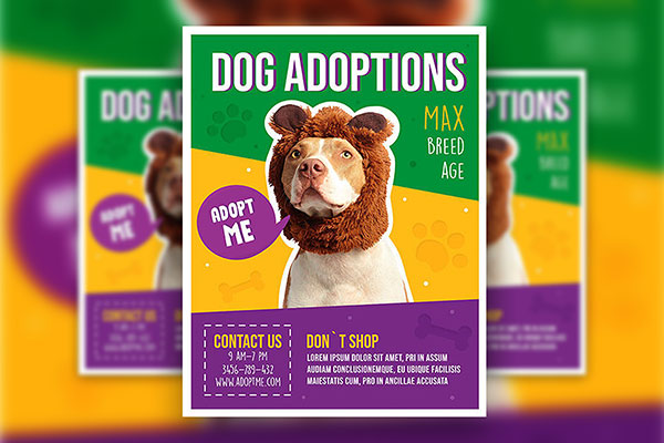 Border Playful Dog Adoptions Flyer Template (FREE) - Resource Boy