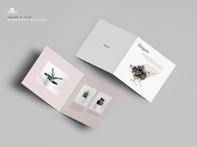 Mockup of 2 Square Bi-fold Brochures Facing Up and Down FREE PSD