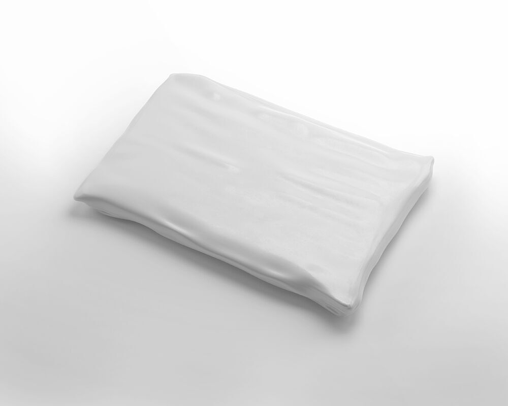 Perspective View of a Poly Mailer Bag Mockup FREE PSD