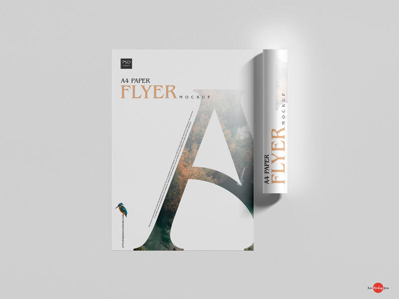 Top View Mockup of Two A4 Flyers Flat and Rolled FREE PSD