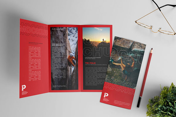 Top View Mockup of Two Tri-fold Brochures Open and Closed FREE PSD