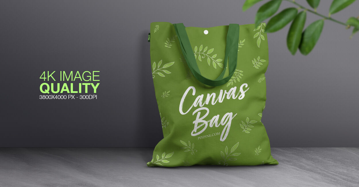 Front View Canvas Bag Leaning Against Wall Mockup with Leaves FREE PSD