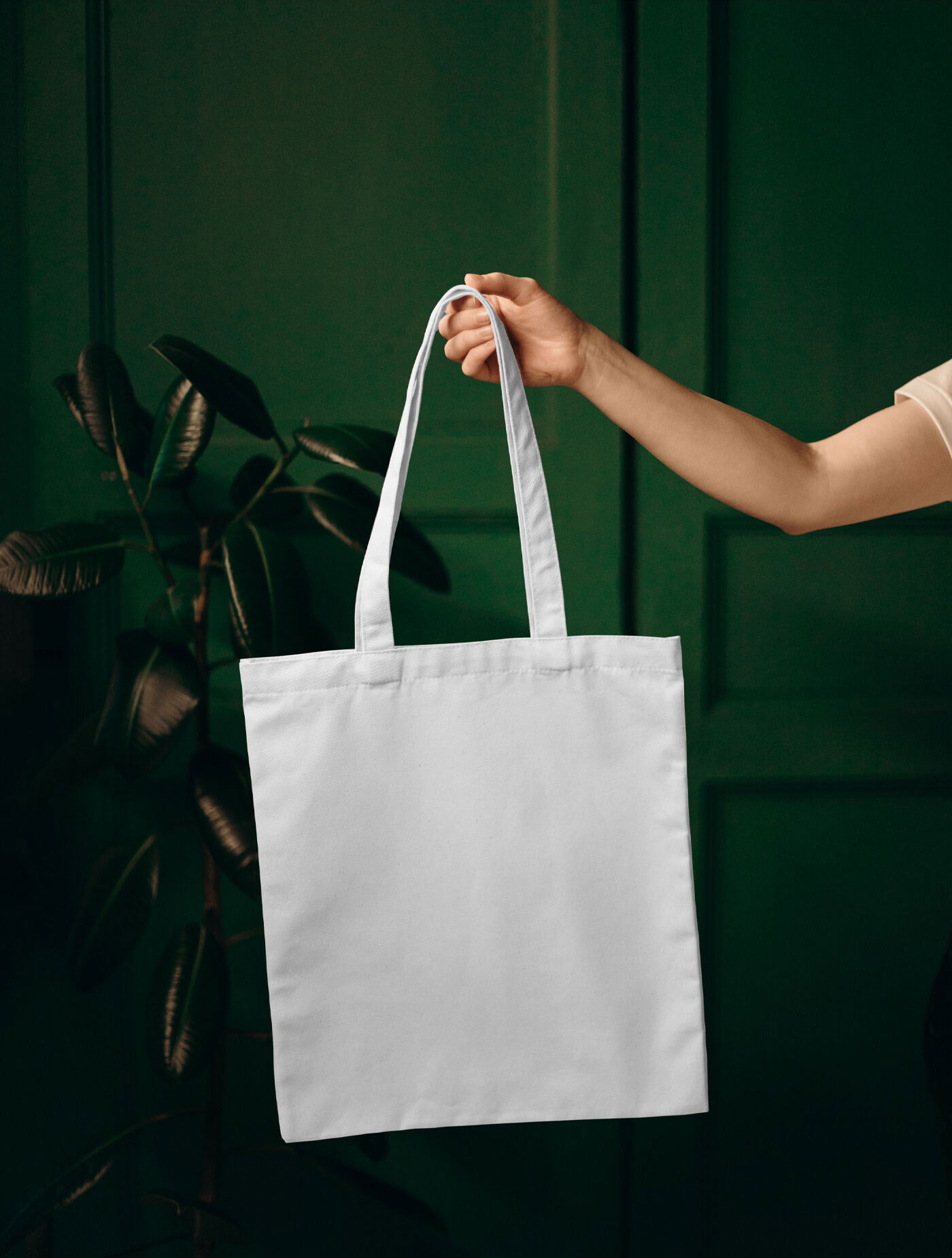 Front View Holding Up Canvas Bag in Leaving Room Mockup FREE PSD